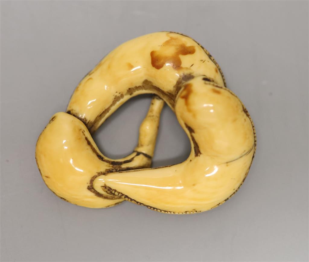 An 18th century Chinese ivory bean toggle, width 4cm
